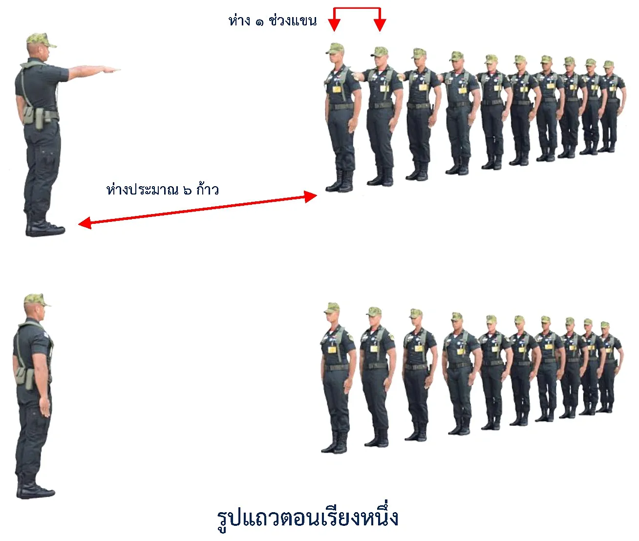 ภาพแถวตอนเรียงหนึ่ง - รูปแถวแถวตอนเรียงหนึ่ง