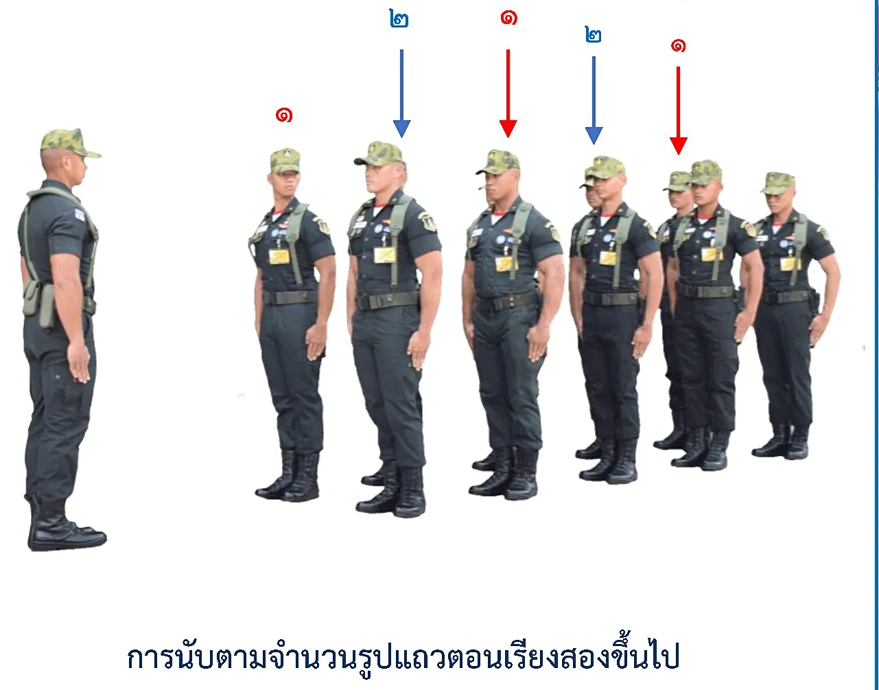 ภาพการนับตามจำนวนที่กำหนด-รูปแถวตอนเรียงสองขึ้นไป - รูปแถวการนับตามจำนวนที่กำหนด-รูปแถวตอนเรียงสองขึ้นไป