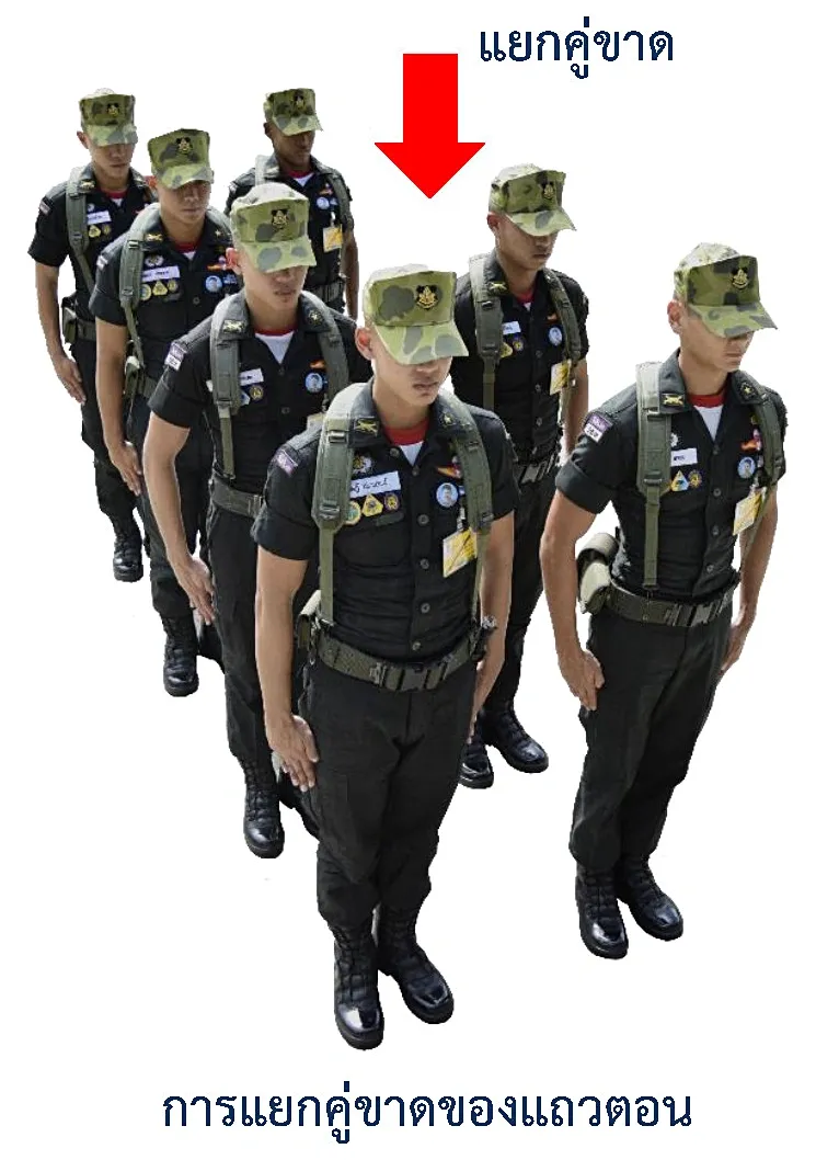ภาพการแยกคู่ขาดของแถวตอน - รูปแถวการแยกคู่ขาดของแถวตอน