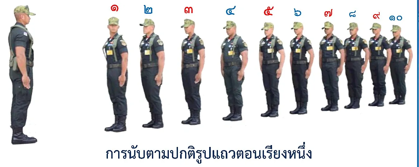 ภาพการนับตามปกติ-รูปแถวตอน - รูปแถวการนับตามปกติ-รูปแถวตอน