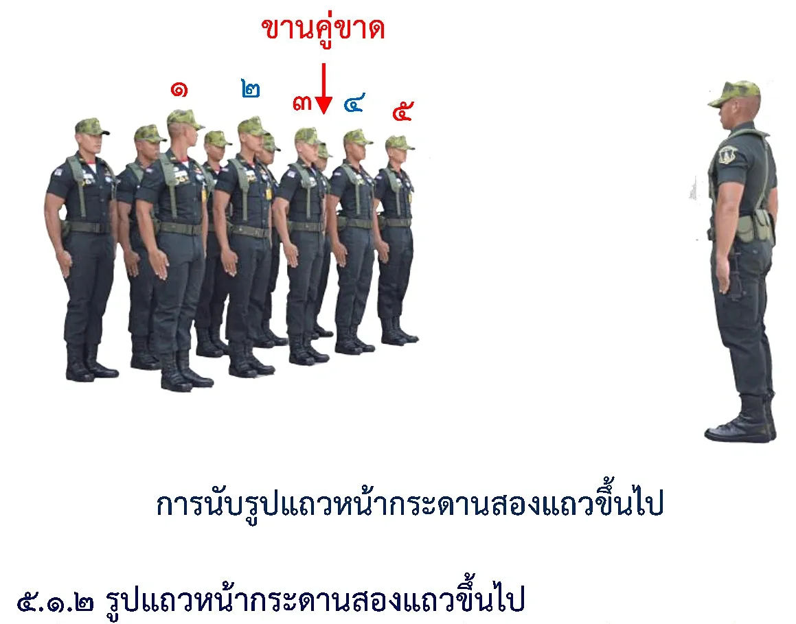 ภาพการนับตามปกติ-รูปแถวหน้ากระดานสองแถวขึ้นไป - รูปแถวการนับตามปกติ-รูปแถวหน้ากระดานสองแถวขึ้นไป