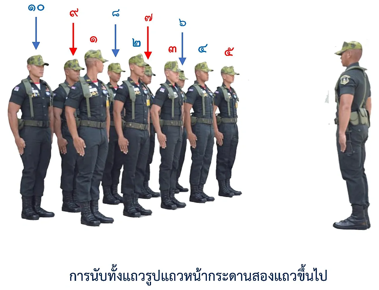 ภาพการนับทั้งแถว-รูปแถวหน้ากระดาน - รูปแถวการนับทั้งแถว-รูปแถวหน้ากระดาน