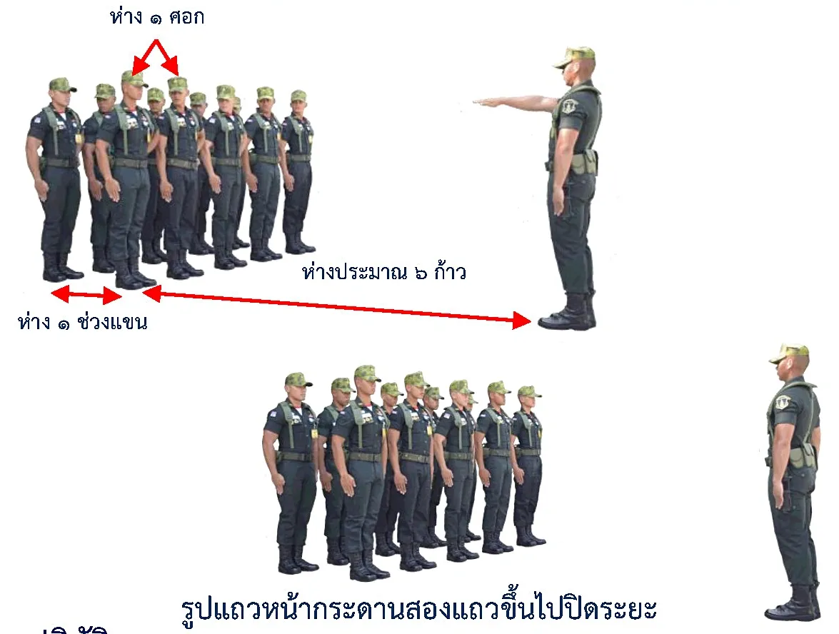 ภาพแถวหน้ากระดานสองแถวขึ้นไปปิดระยะ - รูปแถวแถวหน้ากระดานสองแถวขึ้นไปปิดระยะ