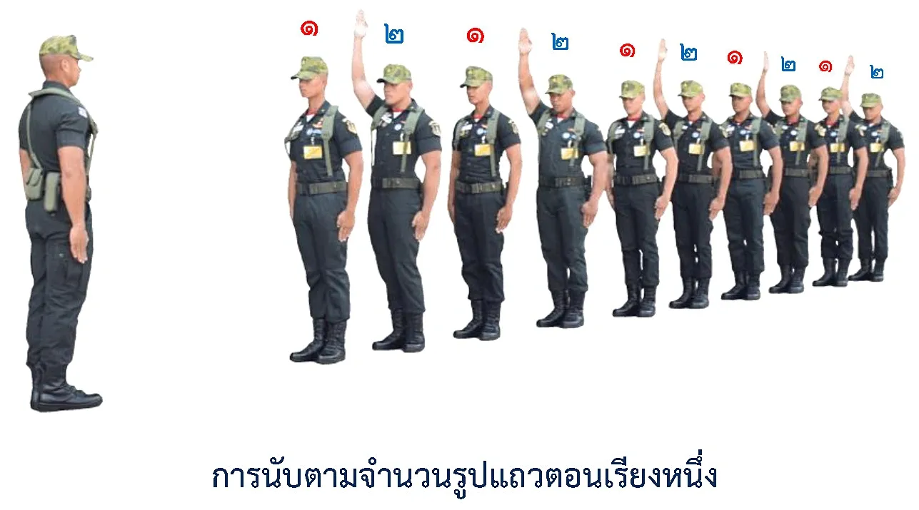ภาพการนับตามจำนวนที่กำหนด-รูปแถวตอนเรียงหนึ่ง - รูปแถวการนับตามจำนวนที่กำหนด-รูปแถวตอนเรียงหนึ่ง