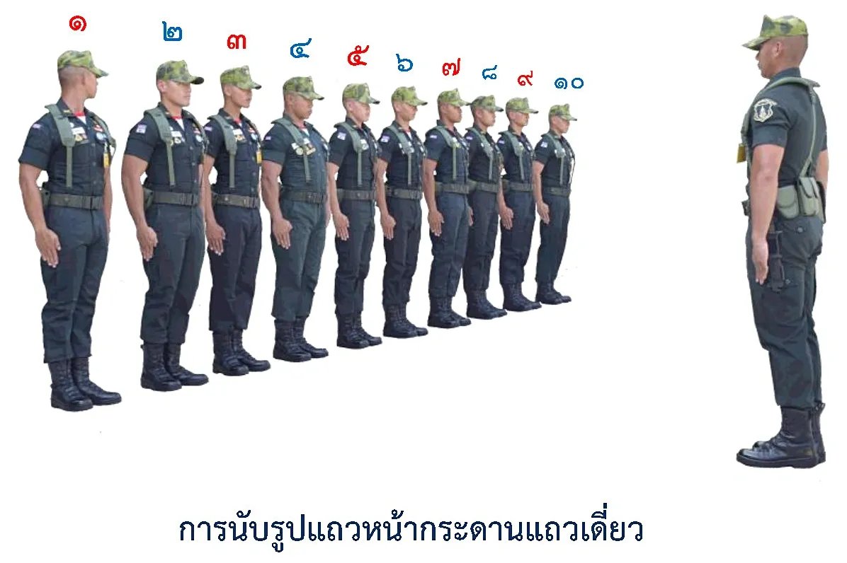ภาพการนับตามปกติ-รูปแถวหน้ากระดานแถวเดี่ยว - รูปแถวการนับตามปกติ-รูปแถวหน้ากระดานแถวเดี่ยว