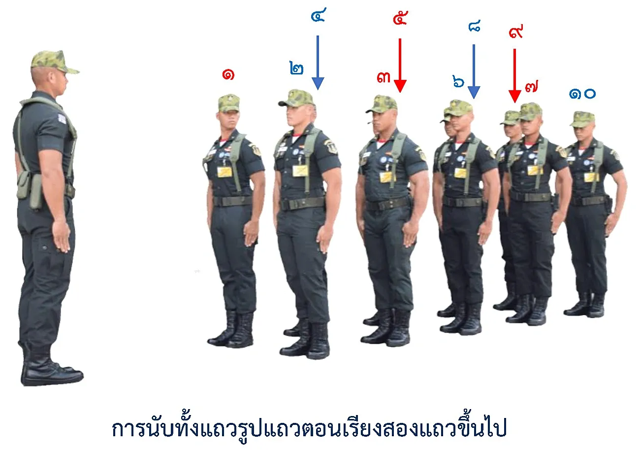 ภาพการนับทั้งแถว-รูปแถวตอน - รูปแถวการนับทั้งแถว-รูปแถวตอน