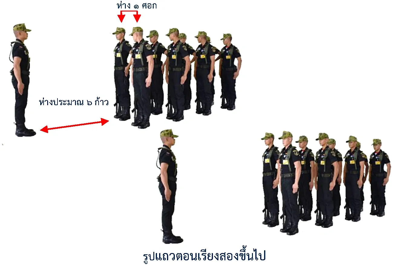 ภาพแถวตอนเรียงสองขึ้นไป - แถวตอนเรียงสองขึ้นไป