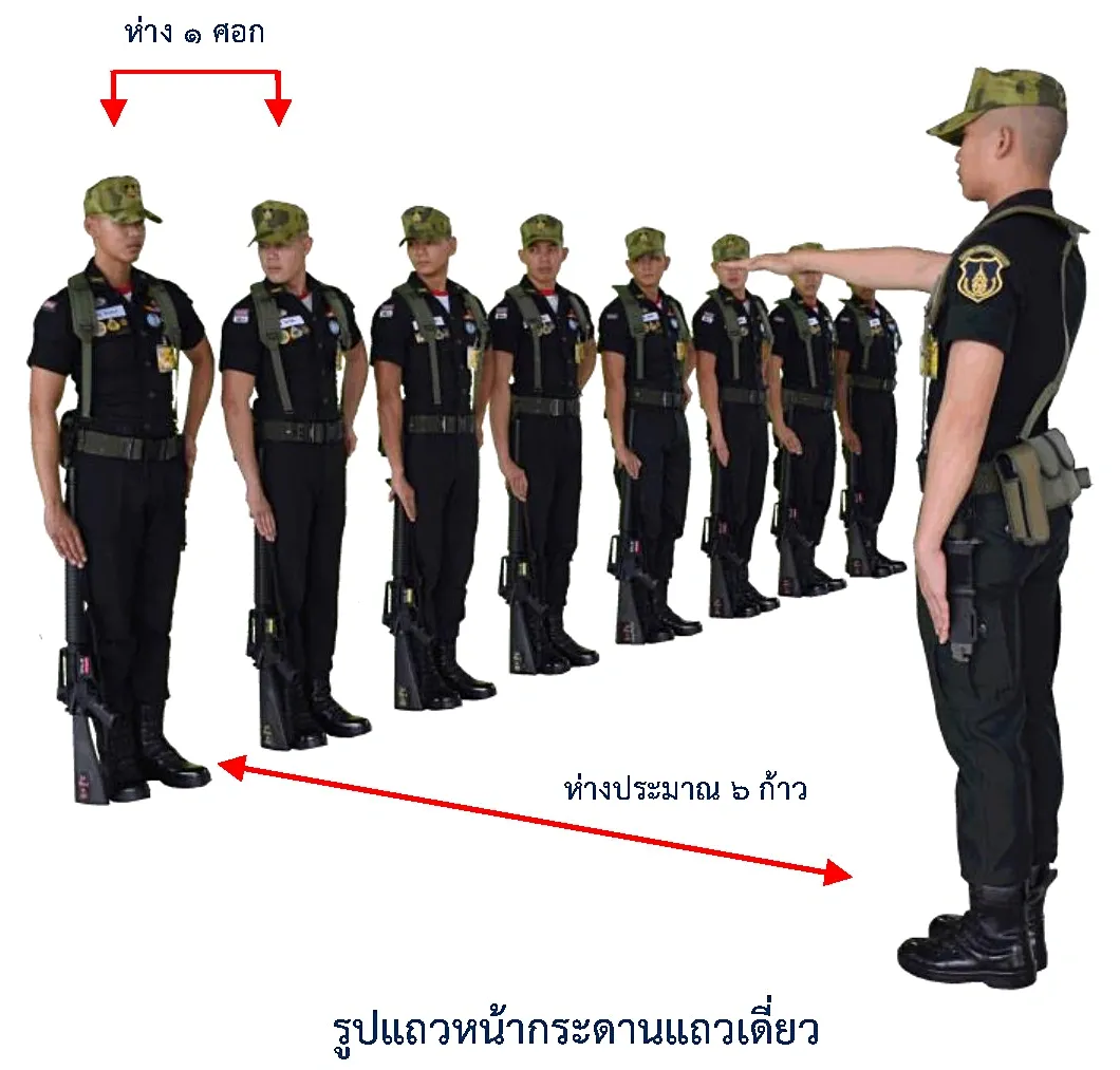 ภาพรูปแถวหน้ากระดานแถวเดี่ยว - รูปแถวหน้ากระดานแถวเดี่ยว