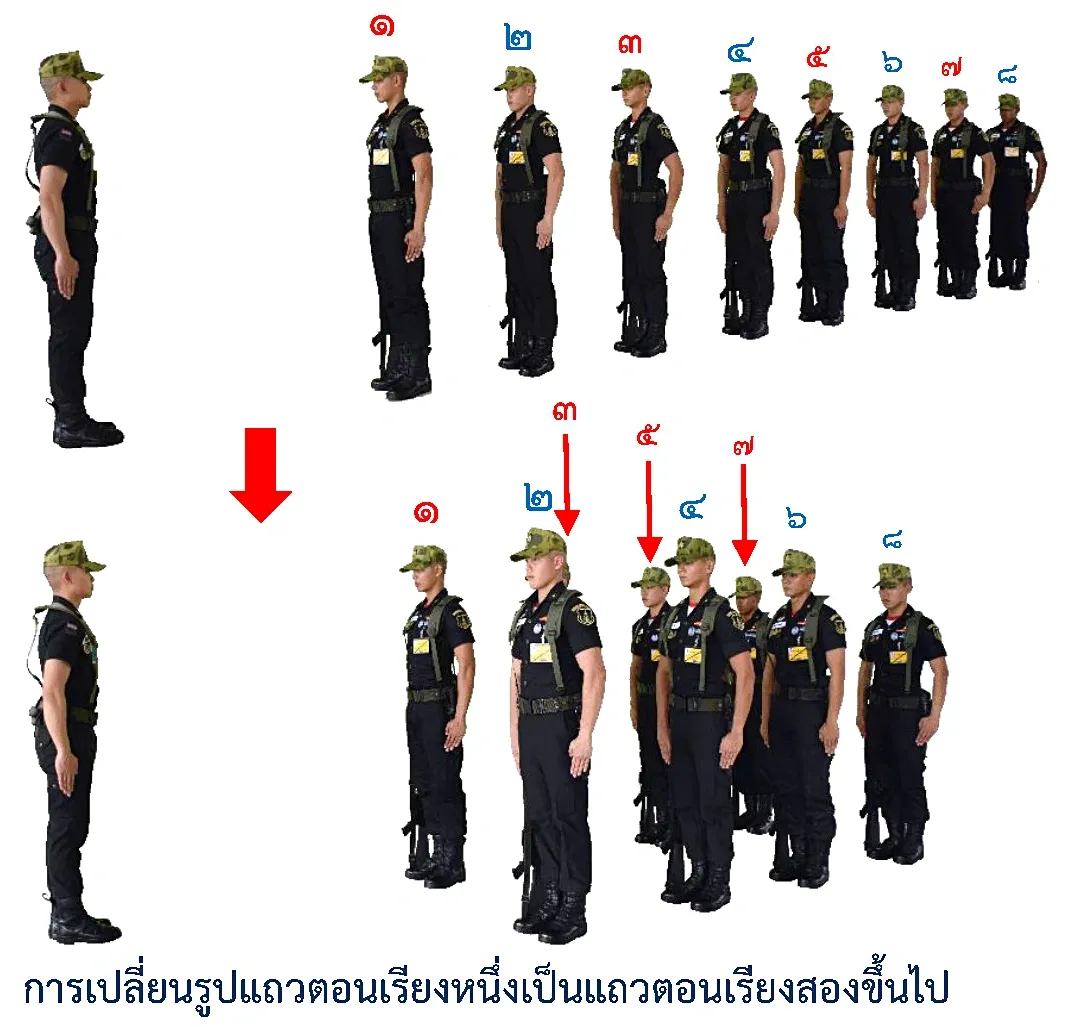 ภาพการเปลี่ยนรูปแถวตอน - การเปลี่ยนรูปแถวตอน