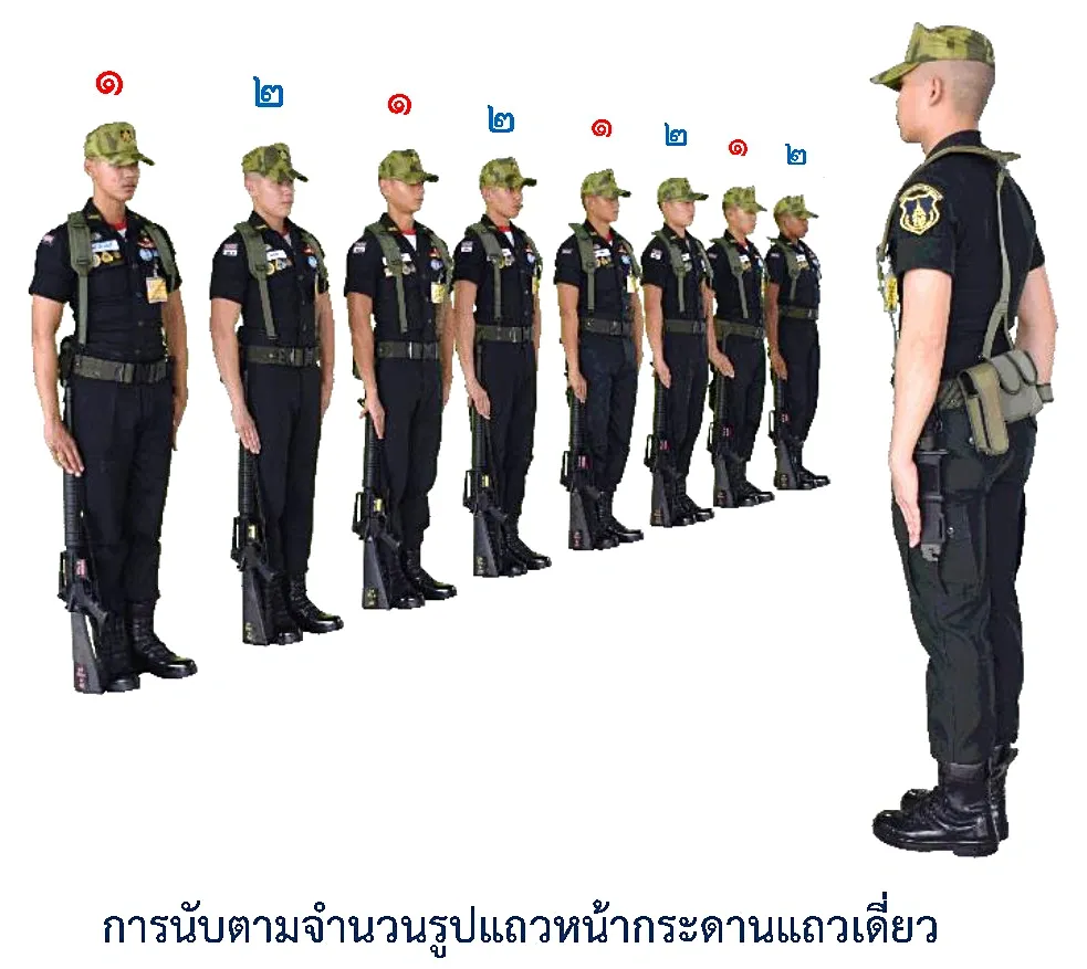 ภาพการนับตามจำนวนที่กำหนด รูปแถวหน้ากระดานแถวเดี่ยว - การนับตามจำนวนที่กำหนด รูปแถวหน้ากระดานแถวเดี่ยว