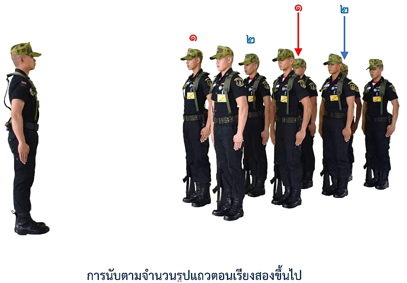 ภาพการนับตามจำนวนที่กำหนด รูปแถวตอน - การนับตามจำนวนที่กำหนด รูปแถวตอน