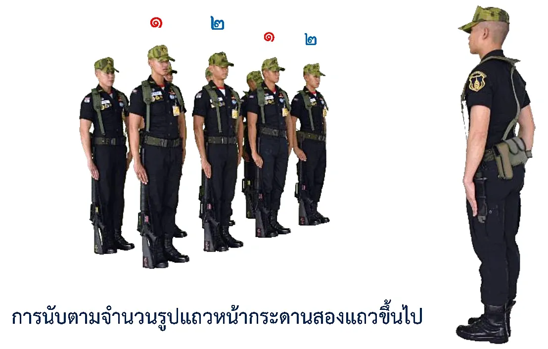 ภาพการนับตามจำนวนที่กำหนด รูปแถวหน้ากระดานสองแถวขึ้นไป - รูปแถวที่