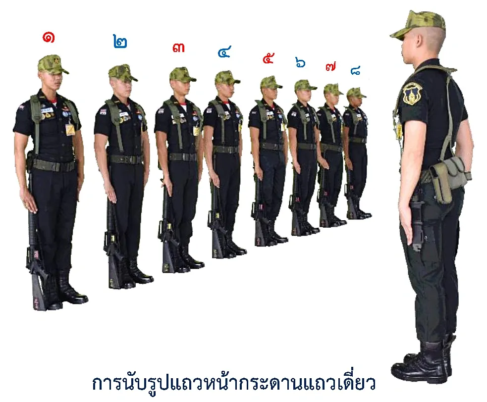 ภาพการนับตามปกติ รูปแถวหน้ากระดานแถวเดี่ยว - การนับตามปกติ รูปแถวหน้ากระดานแถวเดี่ยว