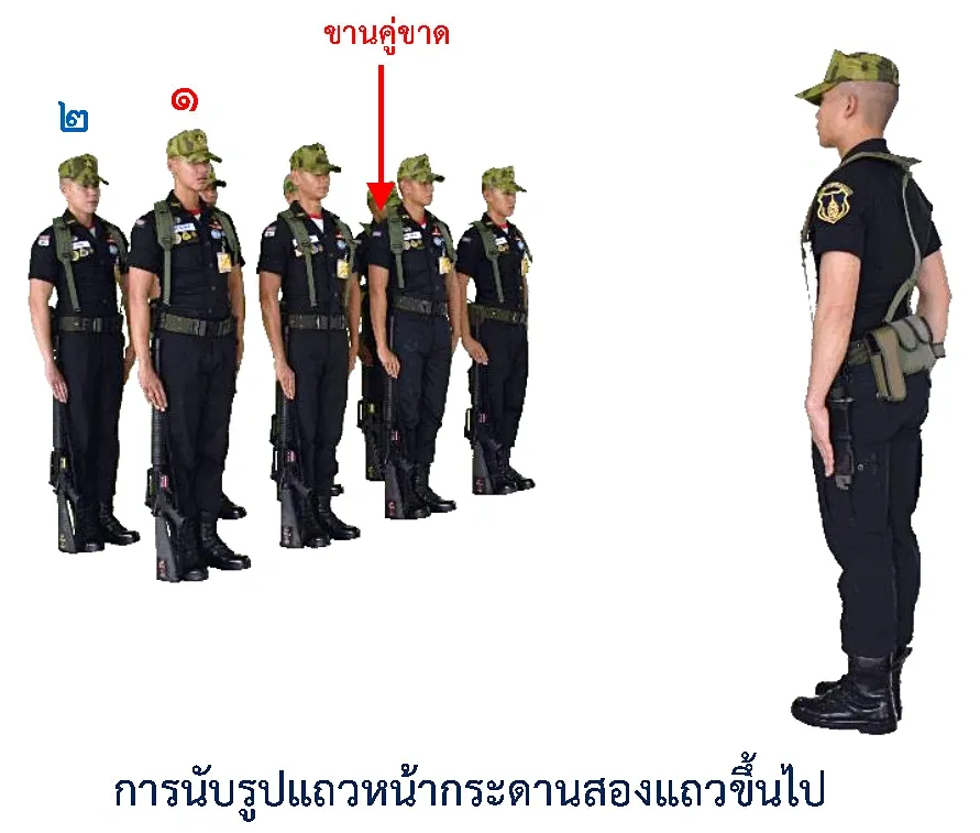 ภาพการนับตามปกติ รูปแถวหน้ากระดานสองแถวขึ้นไป - การนับตามปกติ รูปแถวหน้ากระดานสองแถวขึ้นไป