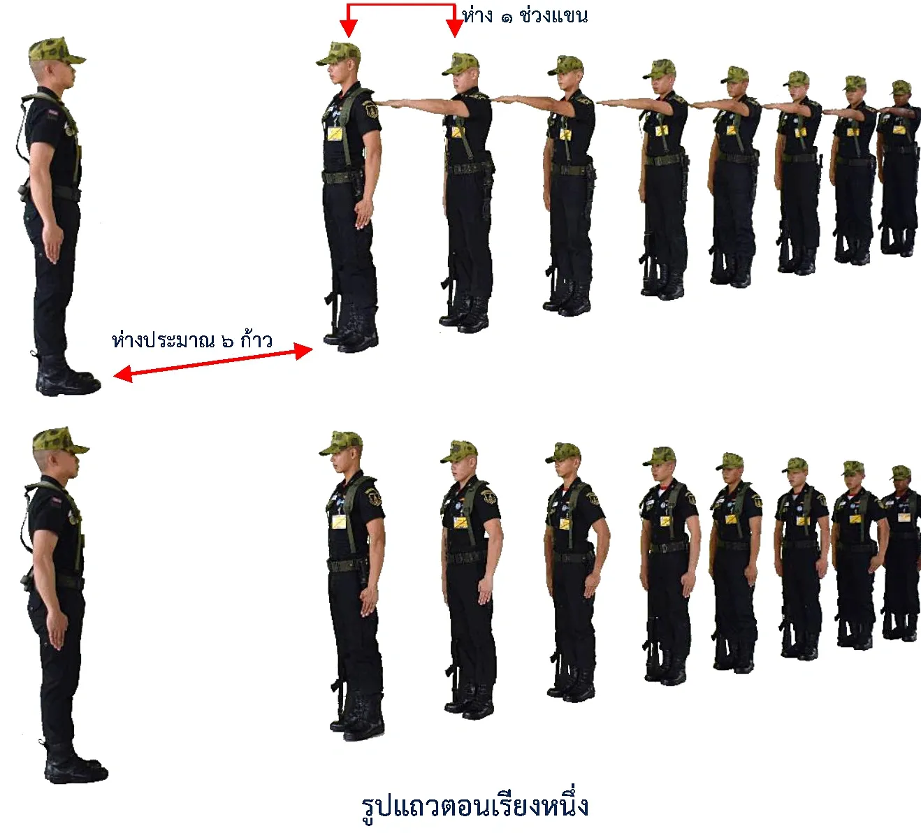 ภาพแถวตอนเรียงหนึ่ง - แถวตอนเรียงหนึ่ง