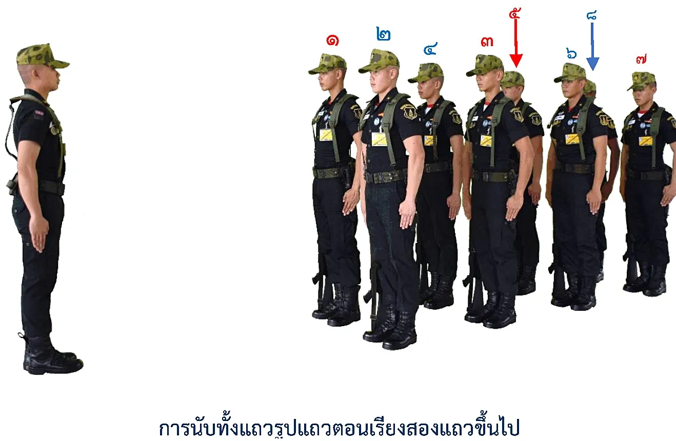 ภาพการนับทั้งแถว รูปแถวตอน - การนับทั้งแถว รูปแถวตอน