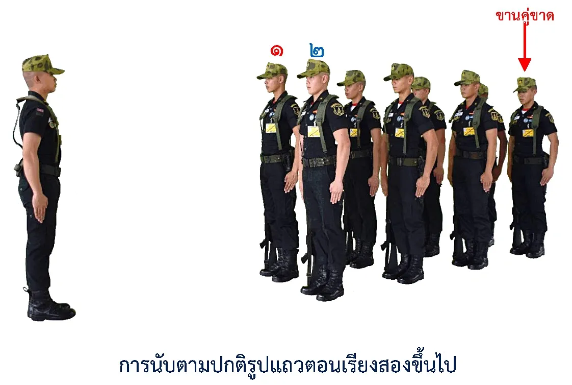 ภาพการนับตามปกติ รูปแถวตอนเรียงสองขึ้นไป - การนับตามปกติ รูปแถวตอนเรียงสองขึ้นไป