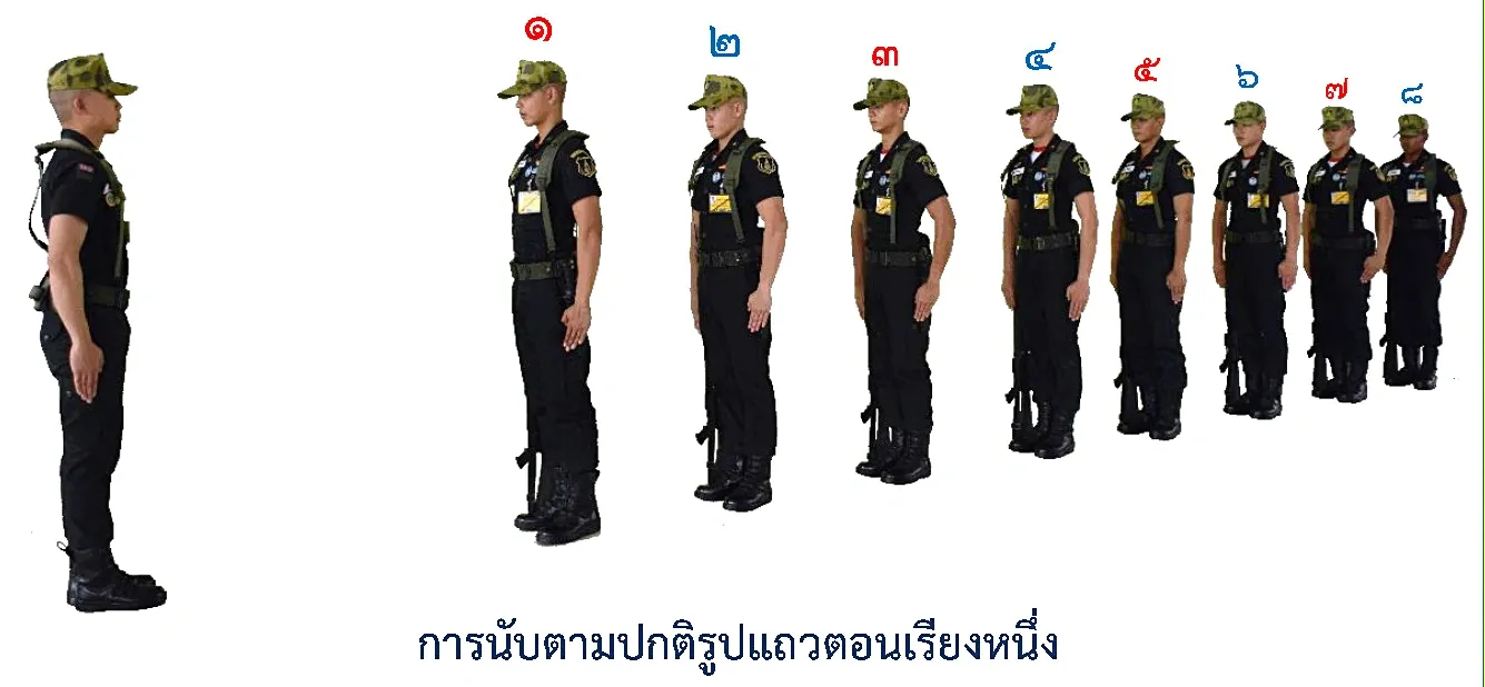 ภาพการนับตามปกติ รูปแถวตอนเรียงหนึ่ง - การนับตามปกติ รูปแถวตอนเรียงหนึ่ง